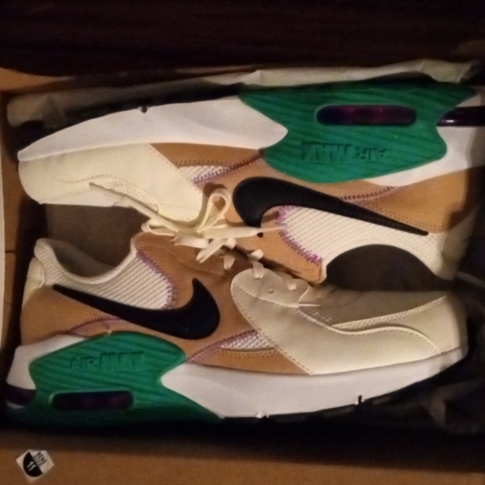 Nike shoes brand new